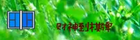 功能与服务详解